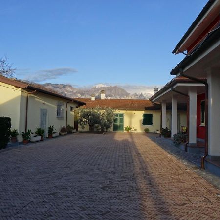 Merlo D'Oro Carrara Kültér fotó