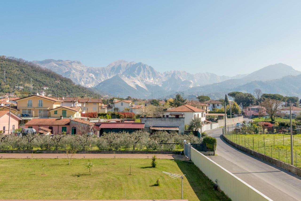 Merlo D'Oro Carrara Kültér fotó