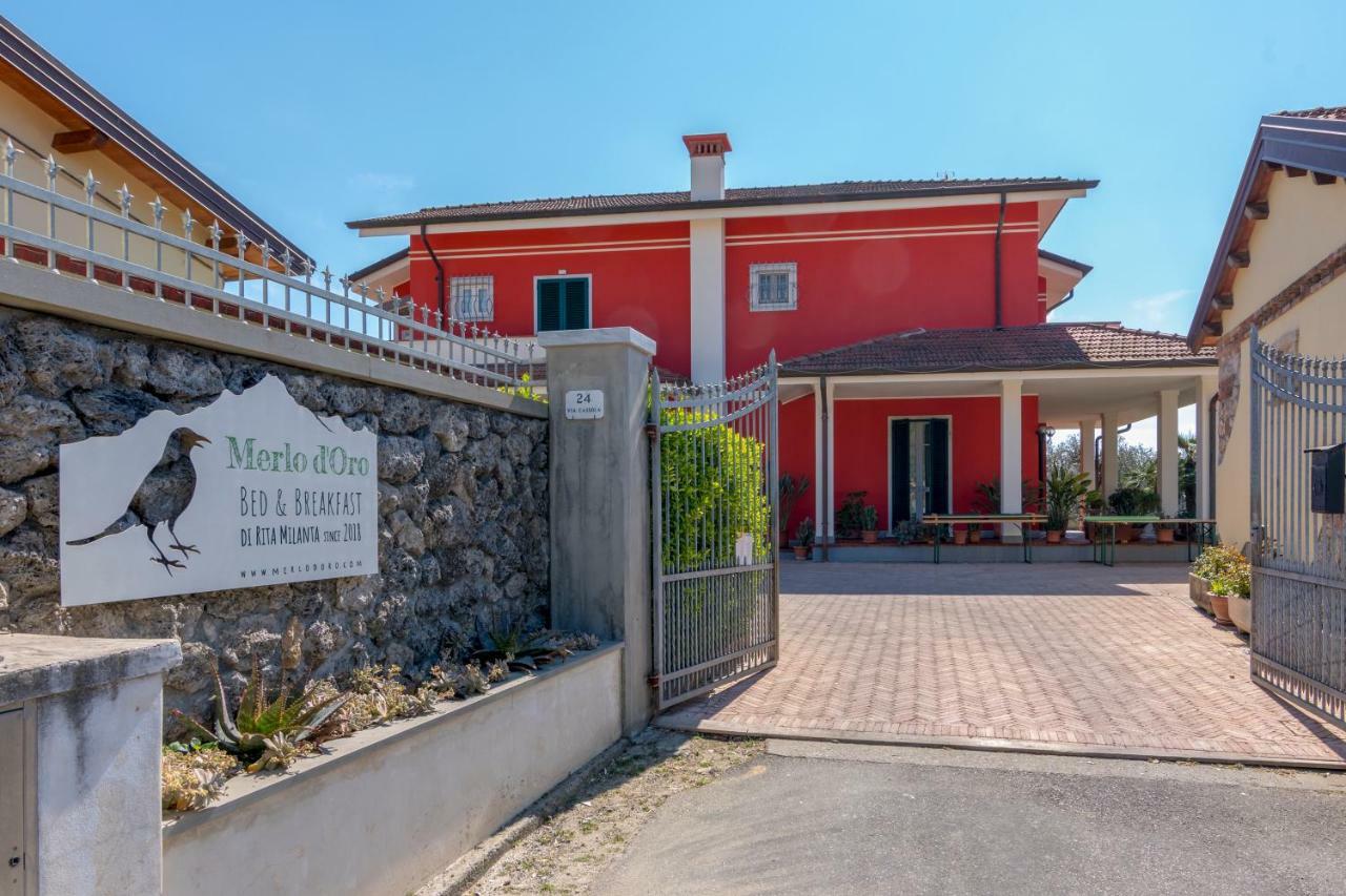 Merlo D'Oro Carrara Kültér fotó