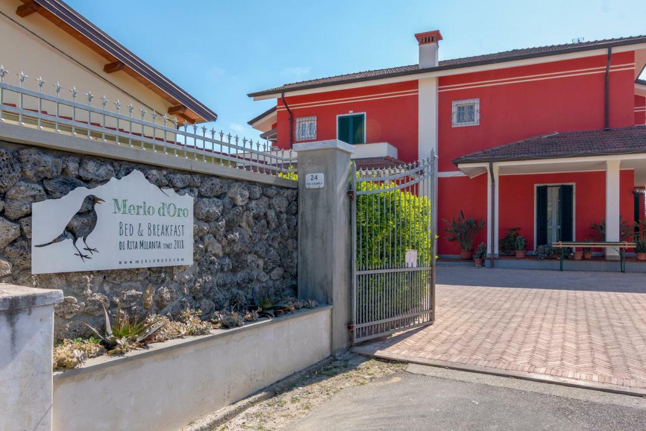 Merlo D'Oro Carrara Kültér fotó