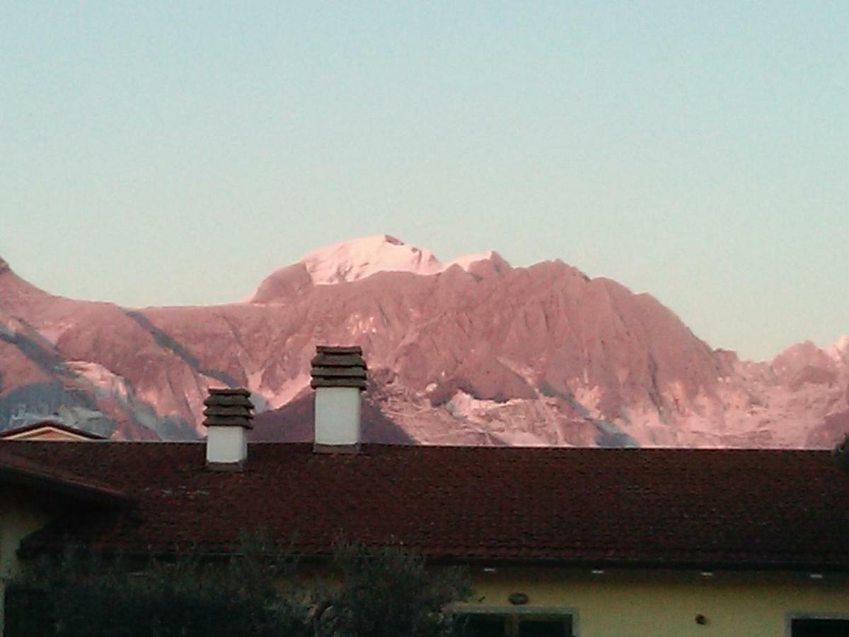 Merlo D'Oro Carrara Kültér fotó