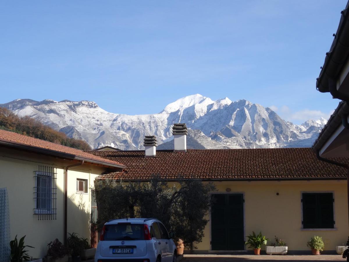 Merlo D'Oro Carrara Kültér fotó